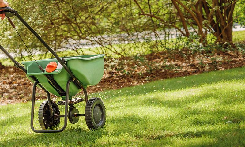 how to fertilize your grass
