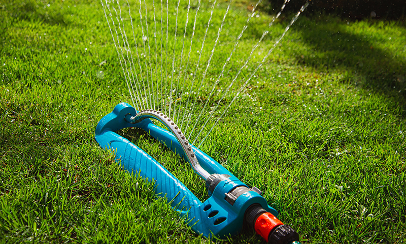 lawn watering with sprinkler to prevent fertilizer burn