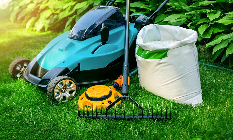proper lawn care