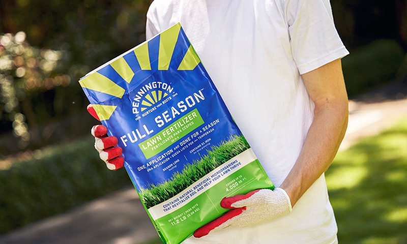 feeding your grass