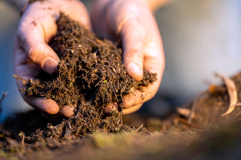 soil testing guide