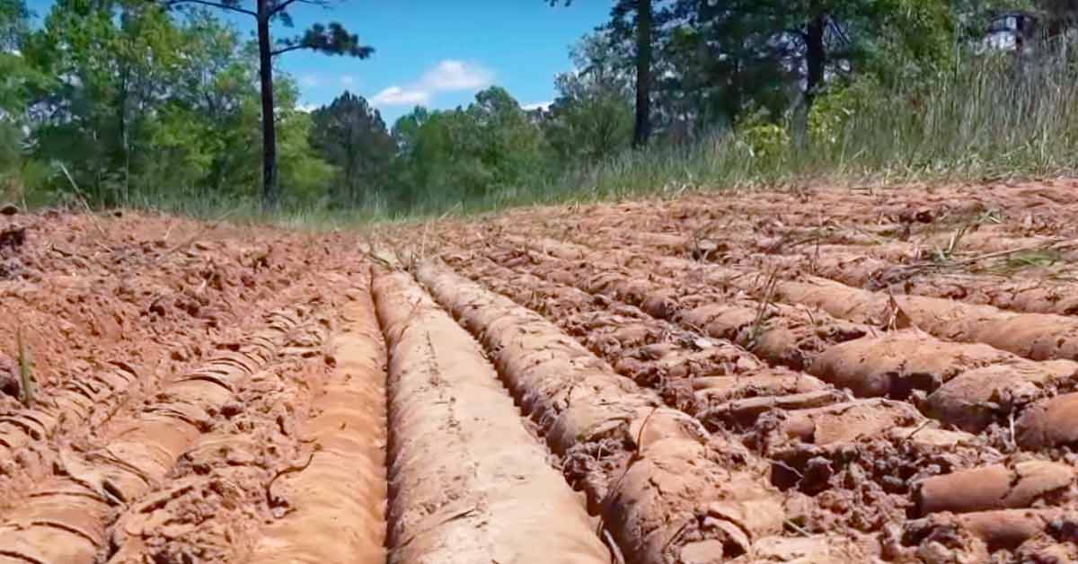 Creating a Firm Seed Bed for your Food Plots