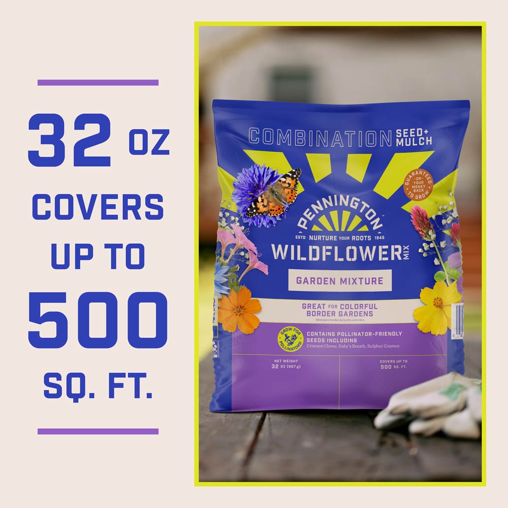 are wild flower from seed packs safe for dogs