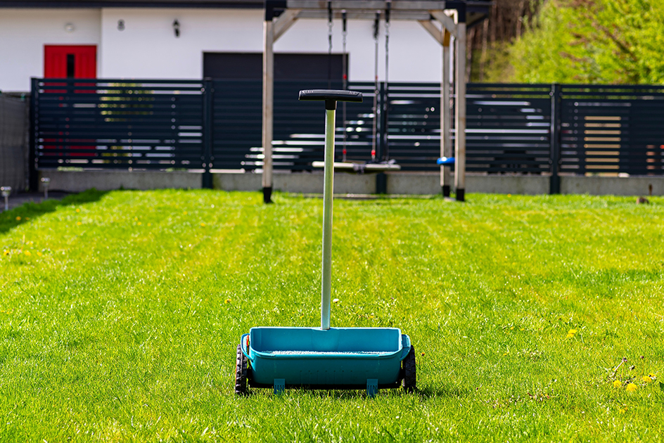 Lawn spreader in the middle of a fenced lawn is ready for fertilizer.