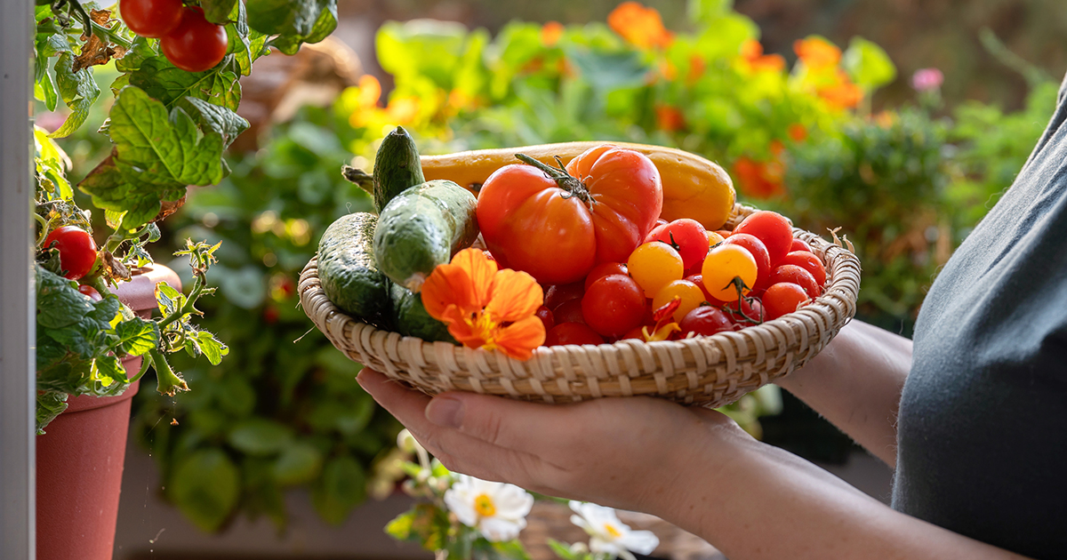 Woman holding a basket of freshly harvested vegetables on a balcony
