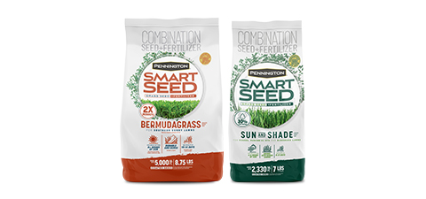 Smart Seed Grass Seed | Pennington