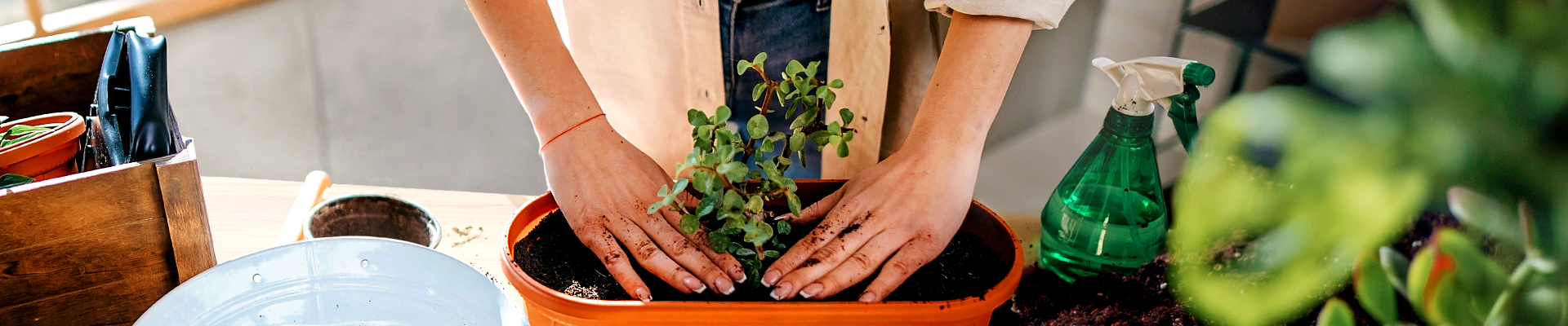 SoilAmendments