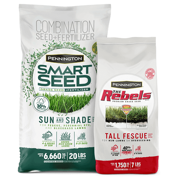 SmartSeed-Rebels-HomePage_feature