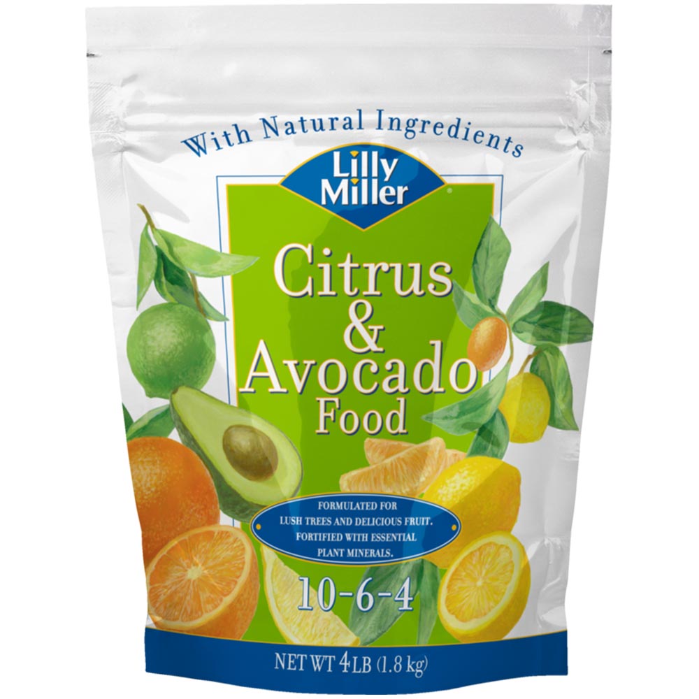 LM-Citrus-And-Avocado-Food-10-6-4