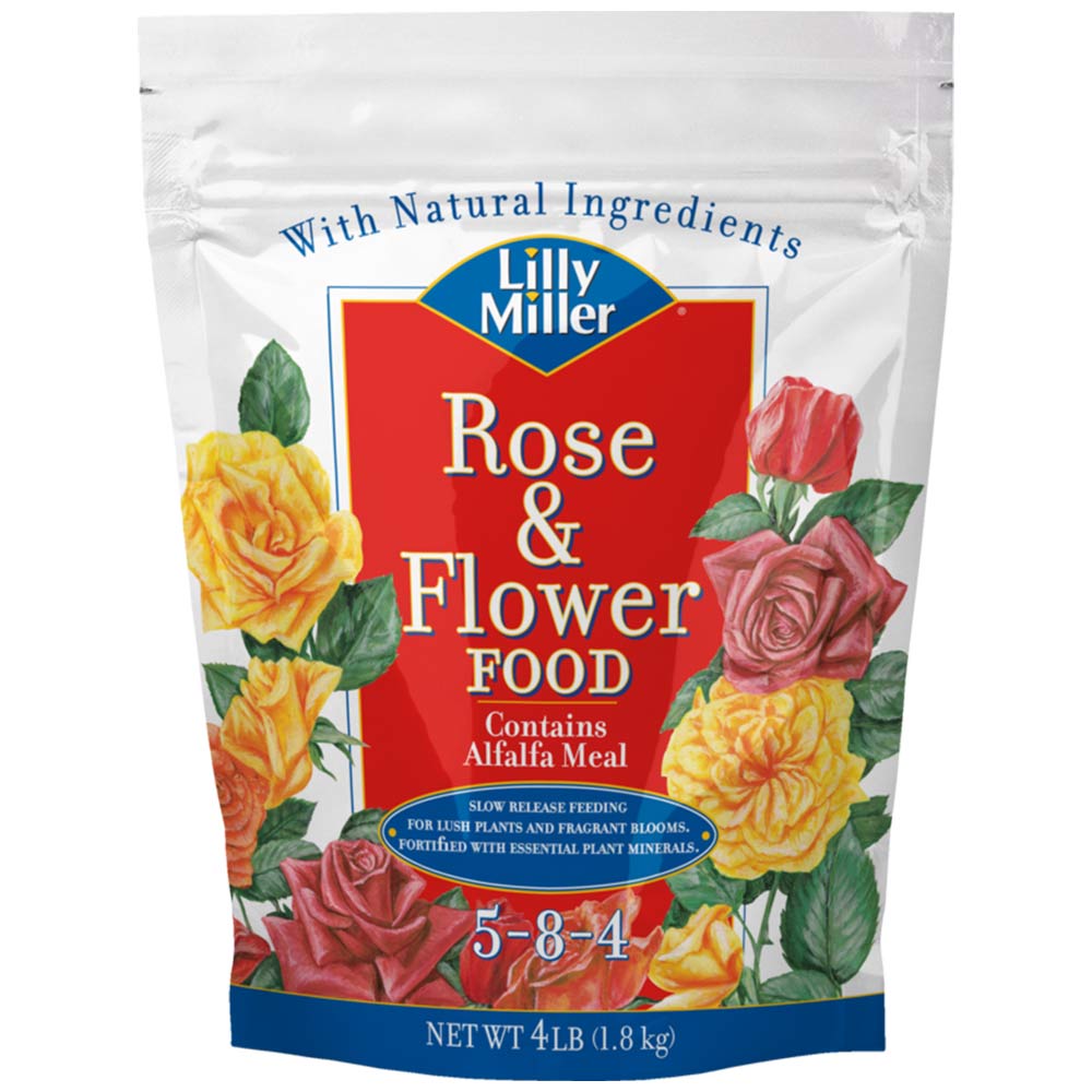 Lilly Miller Rose And Flower 5-8-4