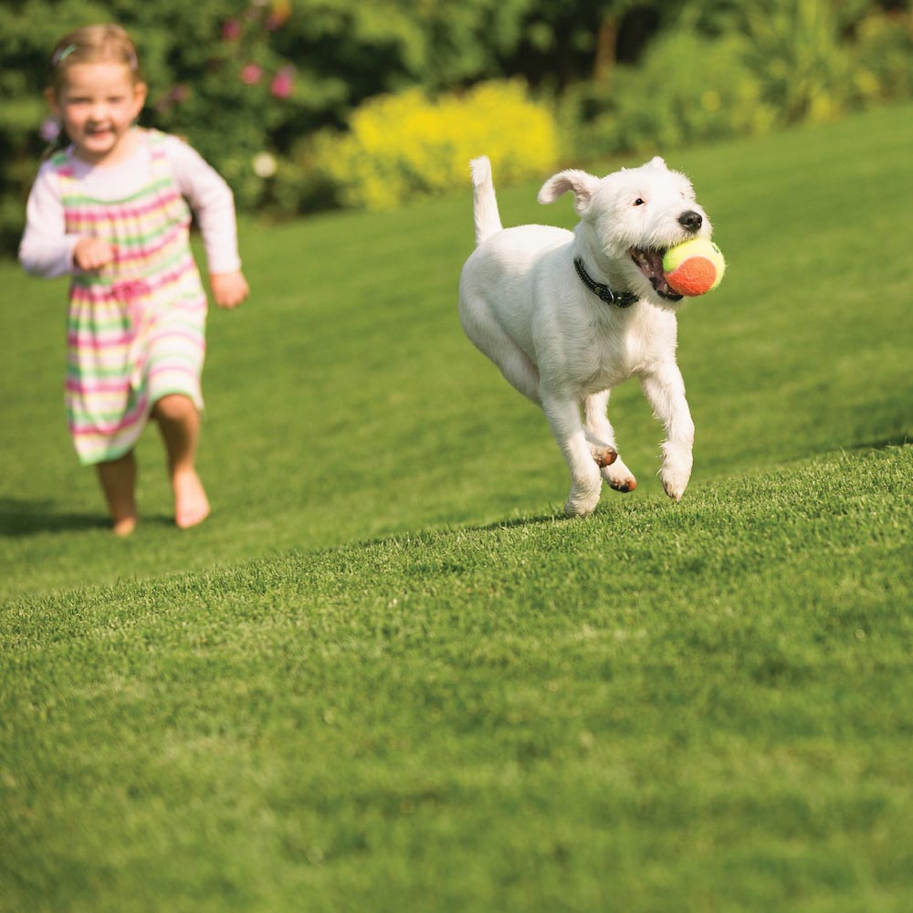 Child-and-dog jpg