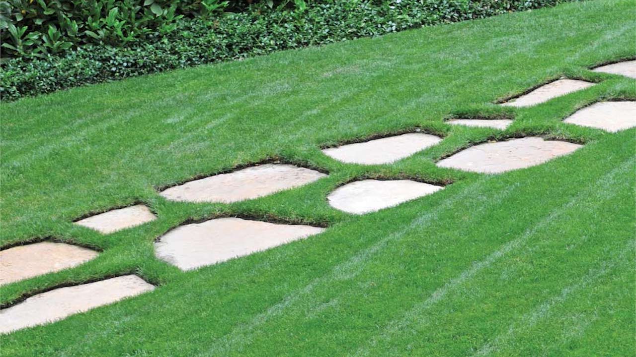 Dark-green-lawn jpg
