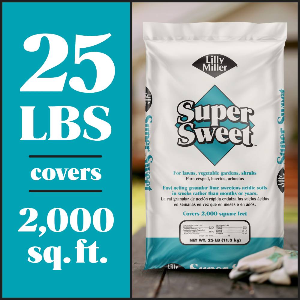 lilly miller super sweet lime