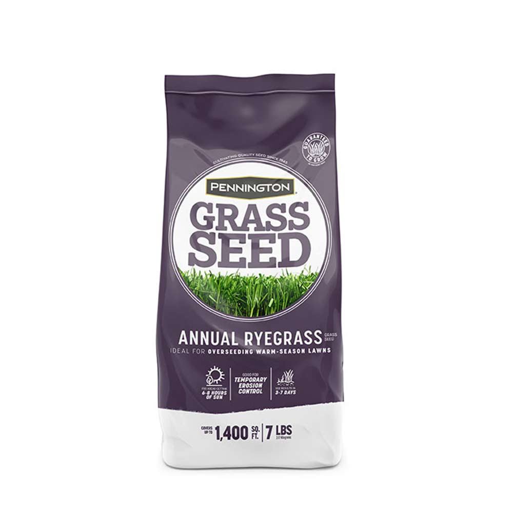 No mow grass online seed lowe's