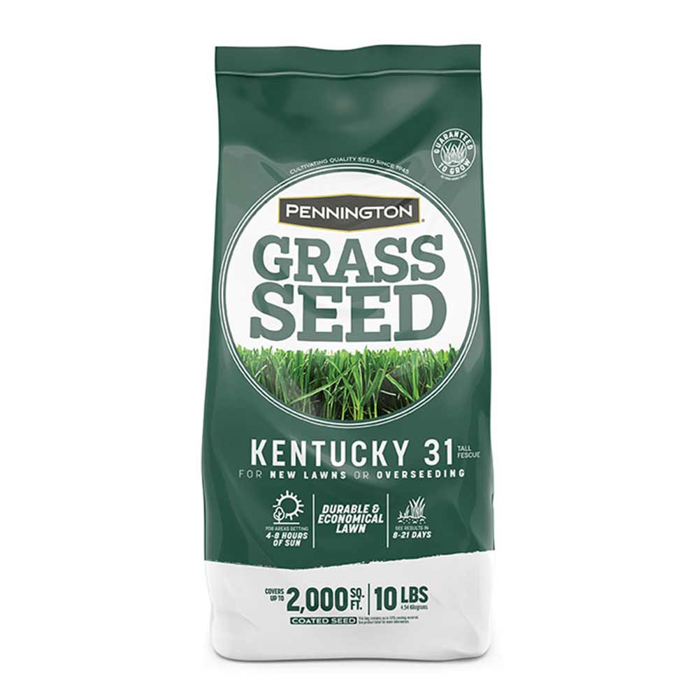 Kentucky-31-Tall-Fescue-Grass-Seed-1-10lb