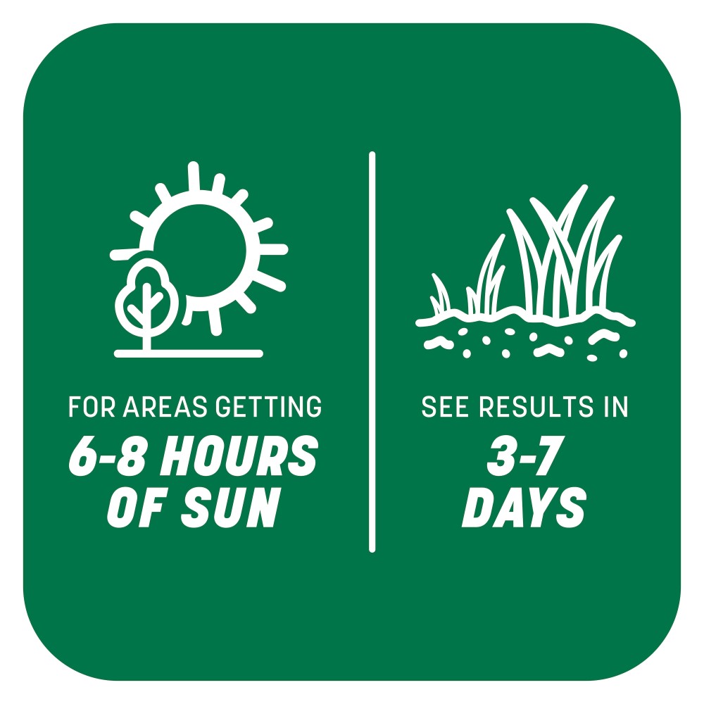 pennington kwik grass