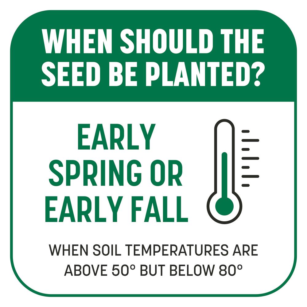 pennington kwik grass