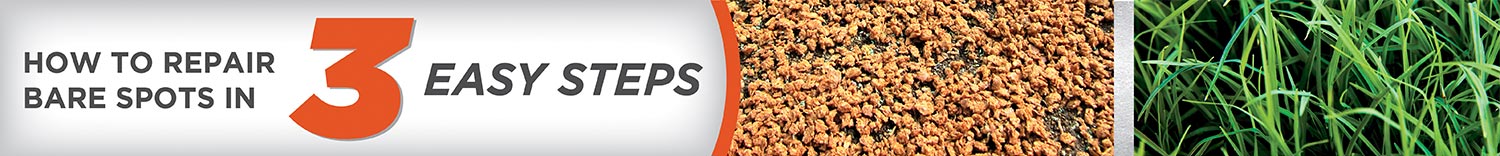 OSC-Bermudagrass-Banner-3-steps jpg