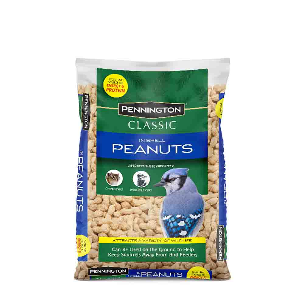 bird-feed-peanuts