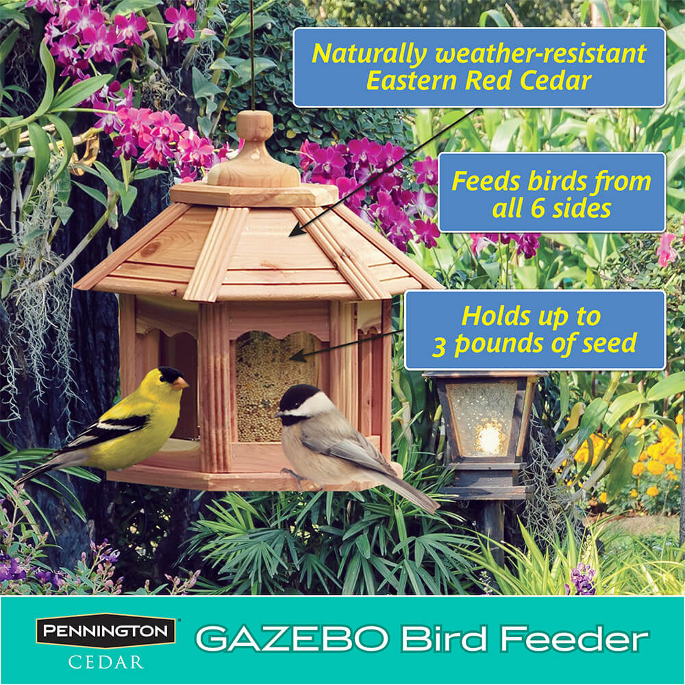 2024,hanging Wild Bird Feeder Gazebo Birdfeeder Outside Decoration, Perfect  For Attracting Birds