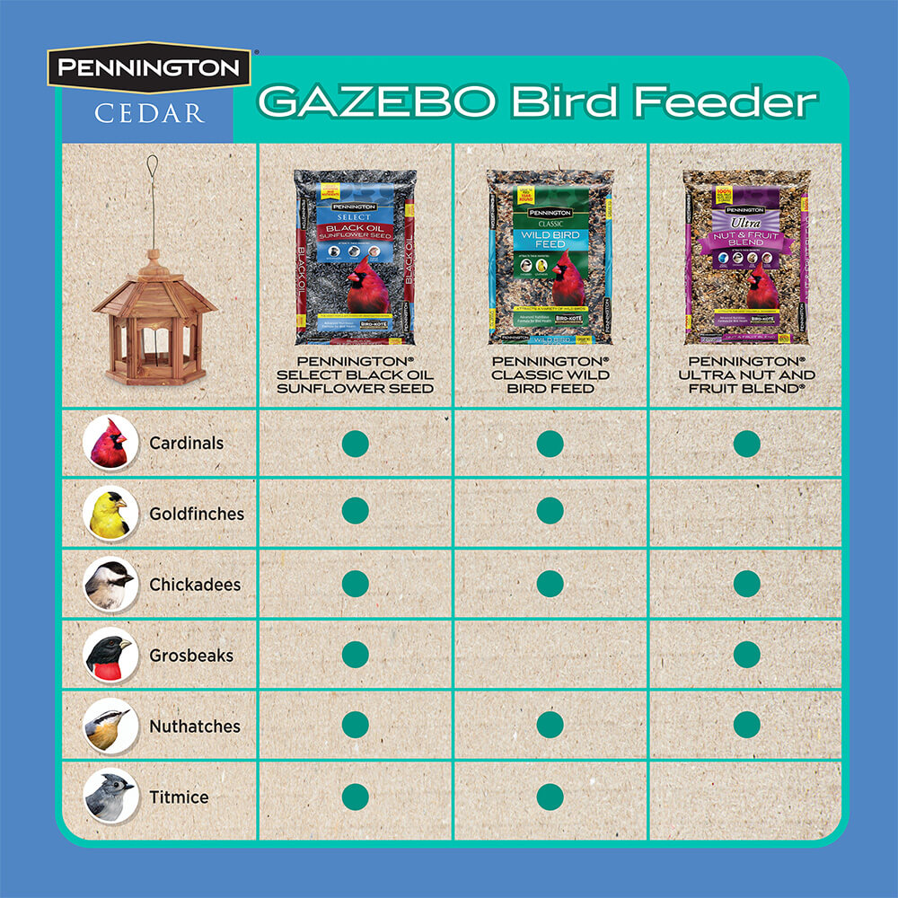 PE-Wildbird-Cedar-Gazebo-Bird-Feeder_7