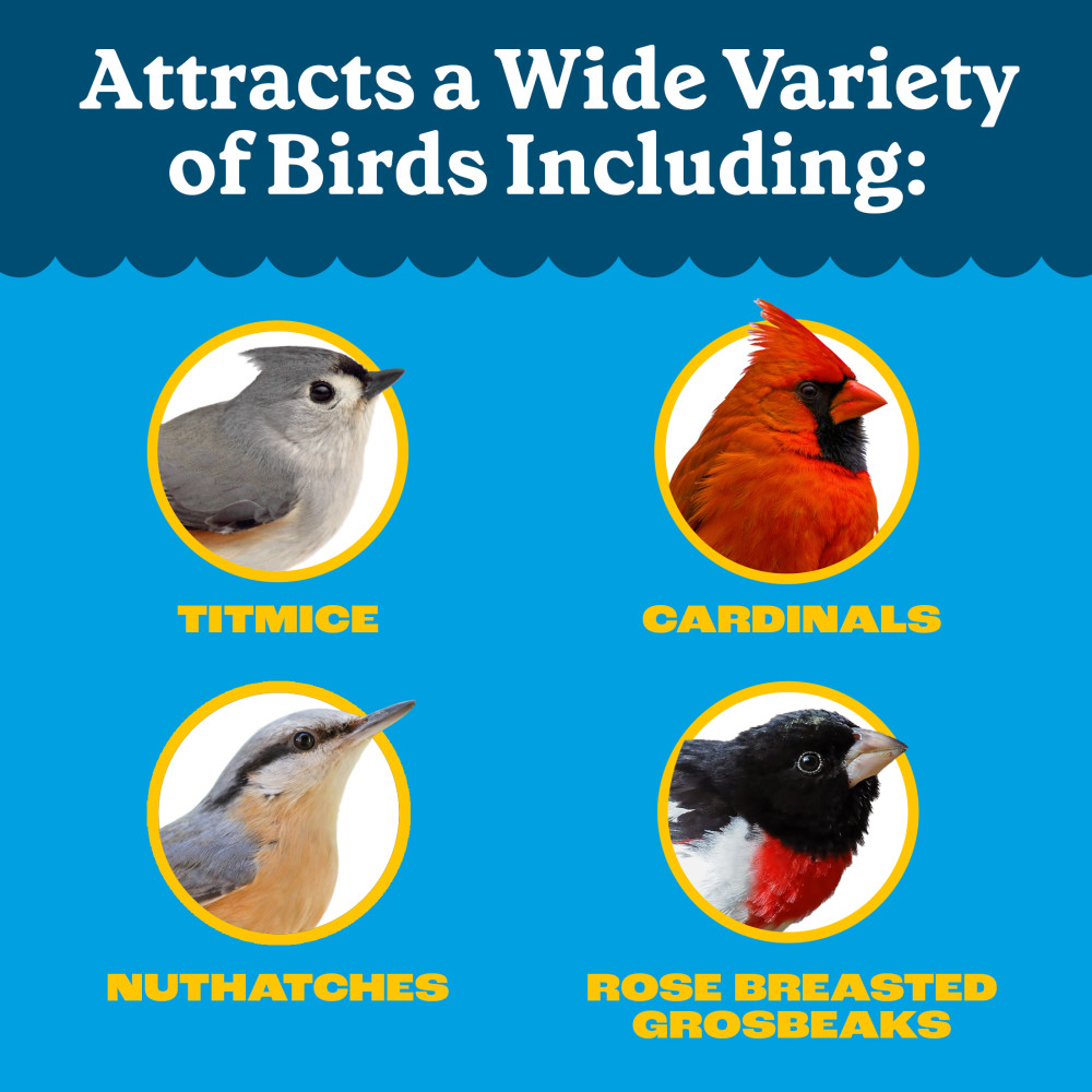 100552128-pennington-feeding-frenzy-all-birds-high-variety-blend-wild-bird-food-10-pounds-7