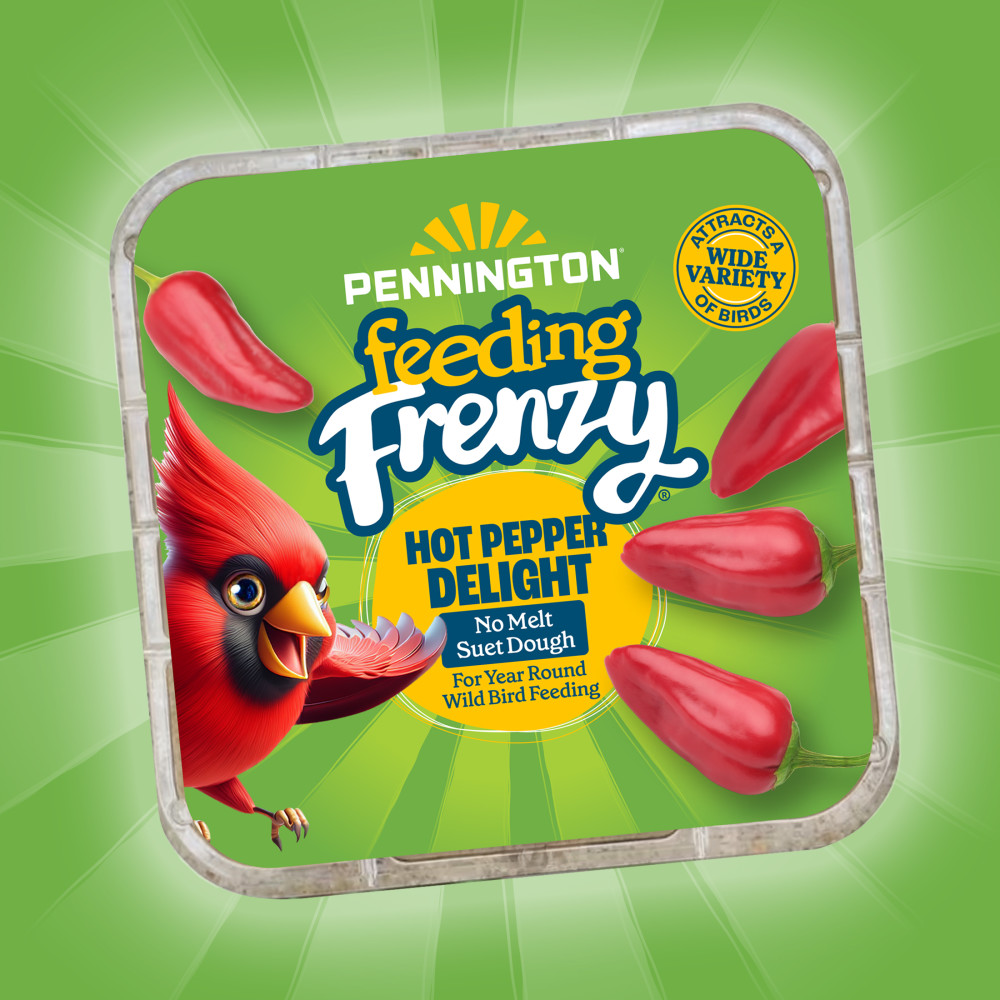 100551951-pennington-feeding-frenzy-hot-pepper-delight--1175-ounce-12