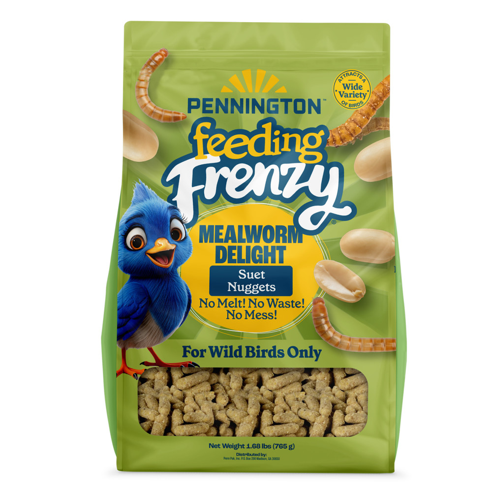 100551927-pennington-feeding-frenzy-mealworm-suet-nuggets-27-ounce-1