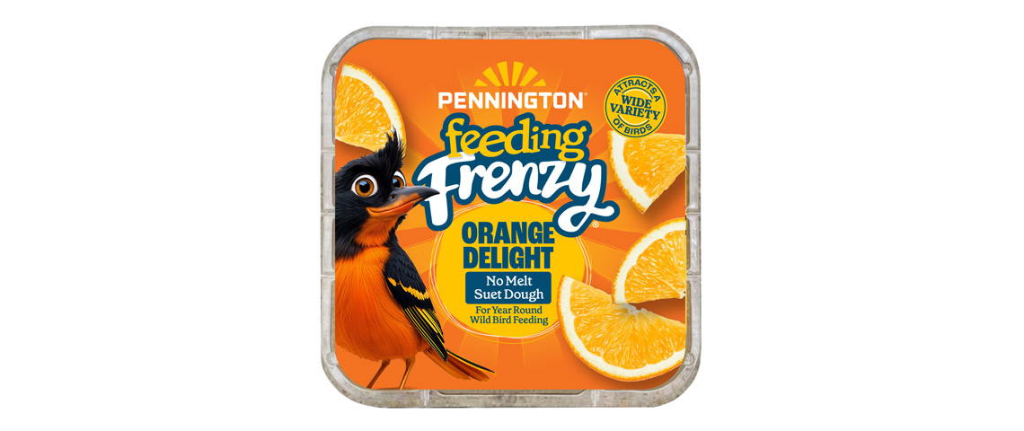 orange-delight-suet-og