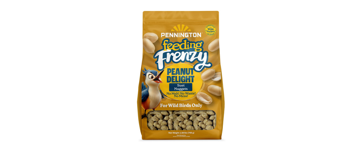 peanut-delight-suet-nuggets-og