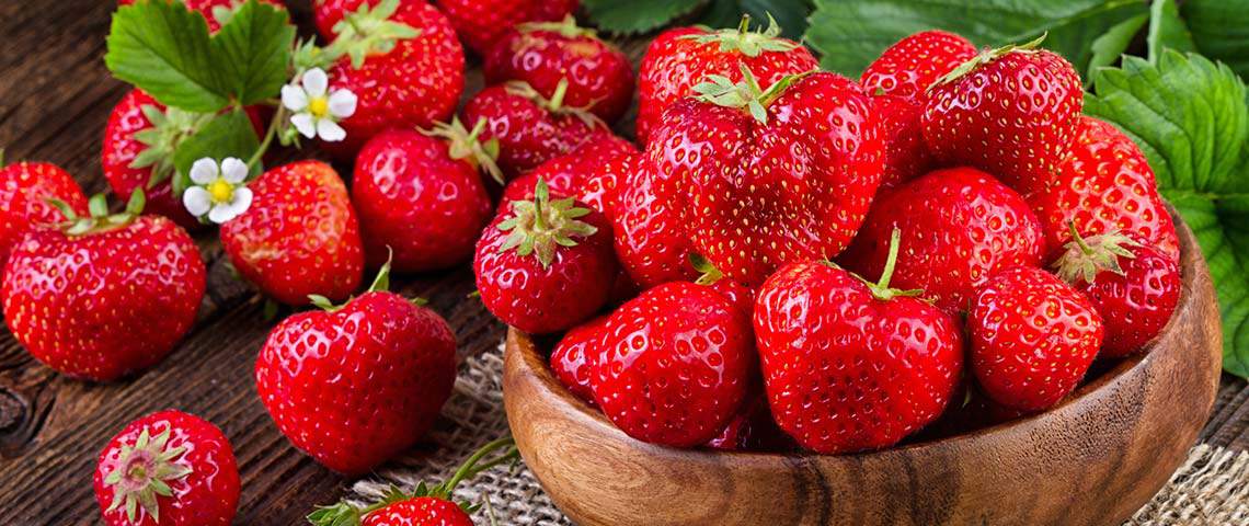 https://www.pennington.com//-/media/Project/OneWeb/Pennington/Images/blog/fertilizer/How-to-Grow-Strawberries/Strawberry-h.jpg