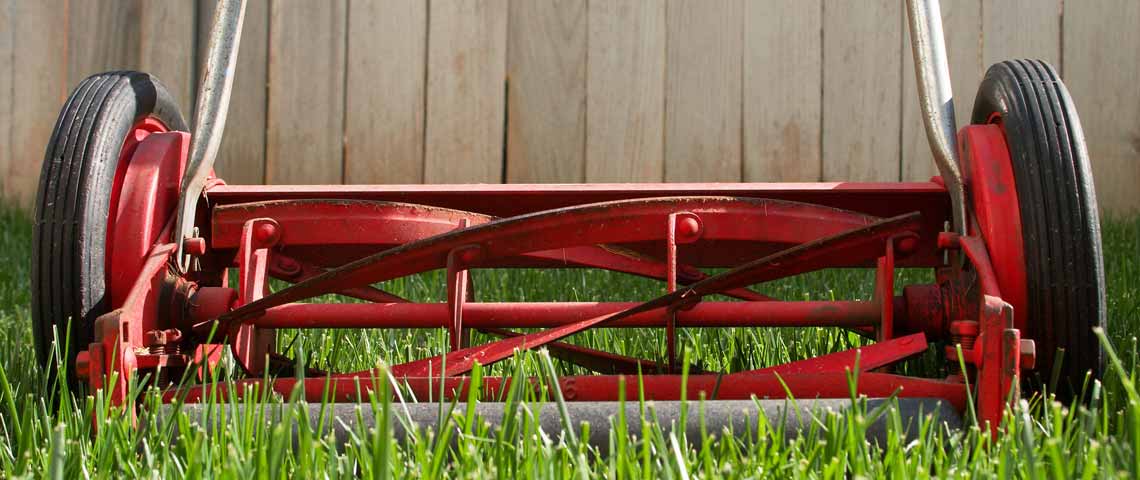 How to Choose the Best Mower, Trimmer and Edger for Your Yard