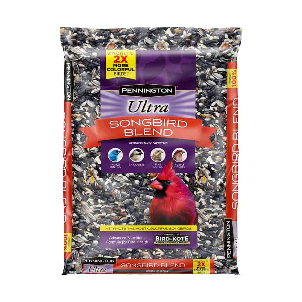 pennington songbird food