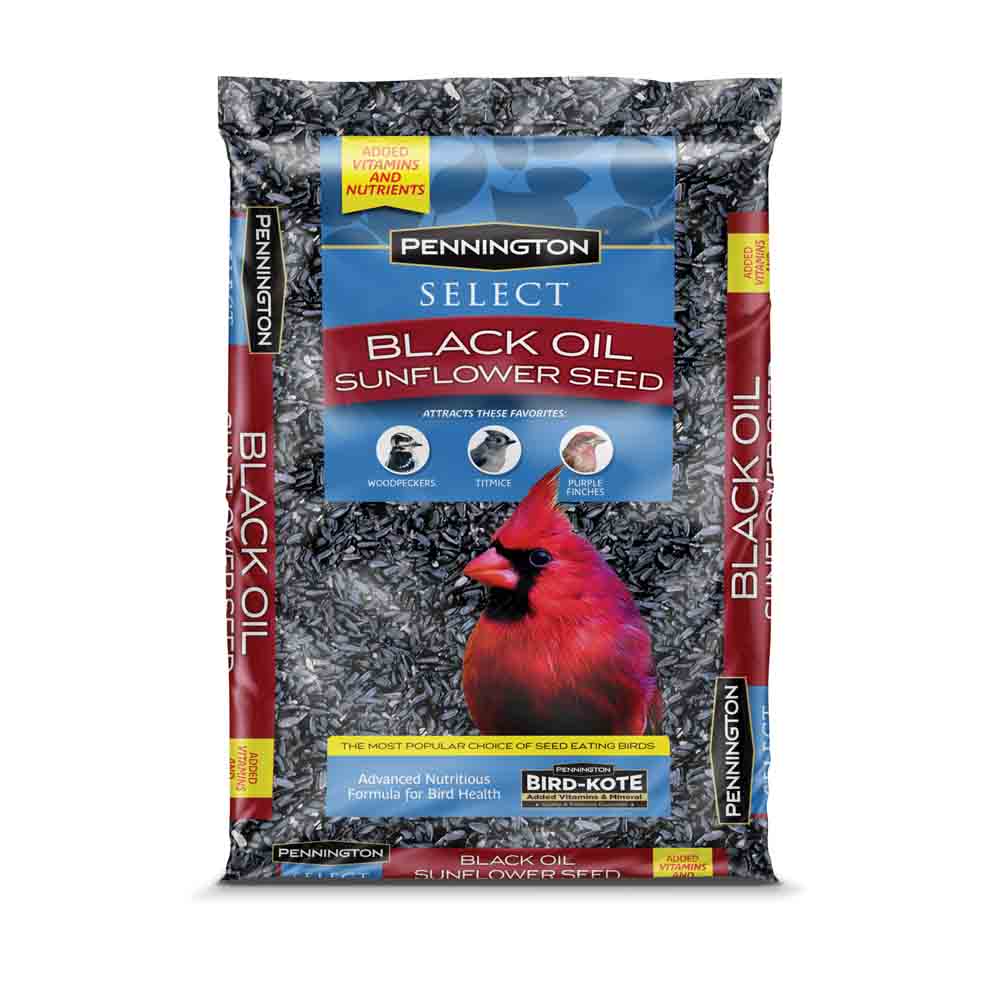 pennington black oil sunflower seeds 20 lbs